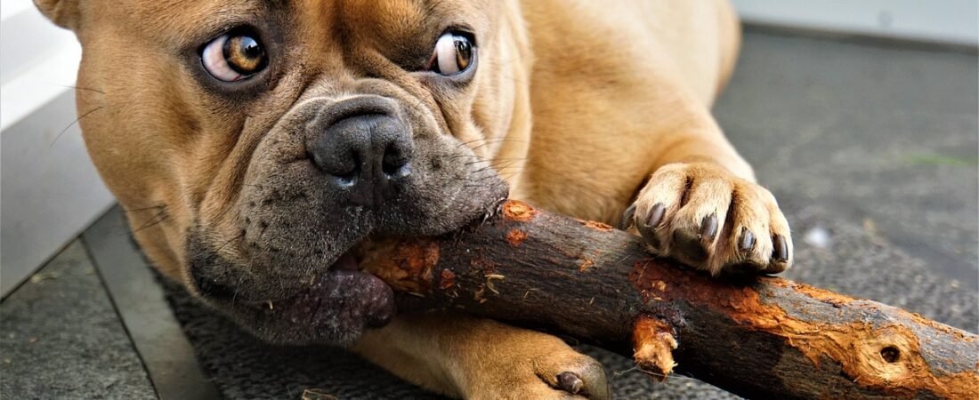 Toys I Bought vs. The Sock They Actually Play With